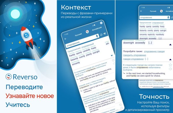 Reverso Translate Pro v14.6.0