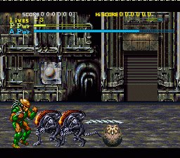 Alien vs.Predator