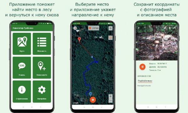 Навигатор Грибника v3.8.5