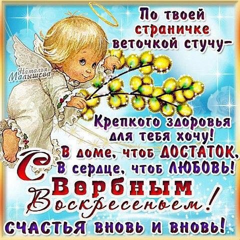 IMG-20160424-WA0005