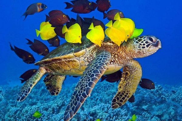 file_103049445