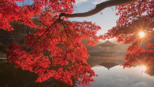 file_103286189