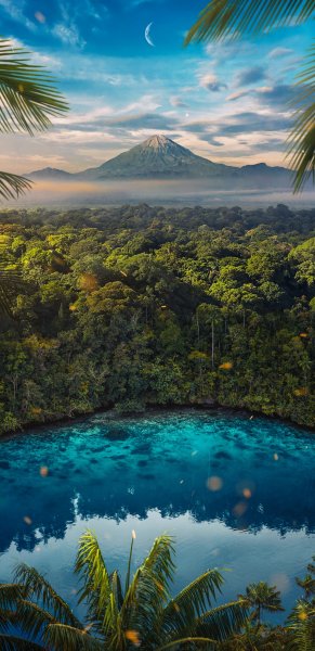 file_103282627