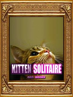 Kitten Solitaire-240x320 SE