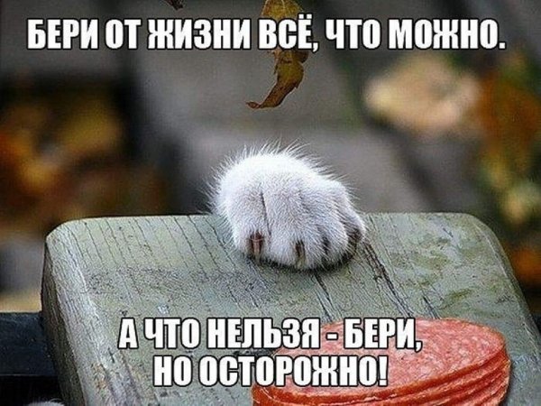 IMG 20240817 064651