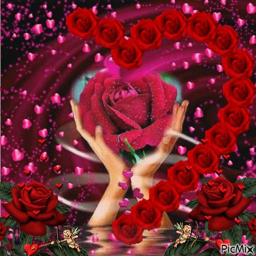 8f1e9