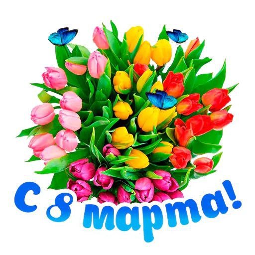 IMG 20260308 121510 711