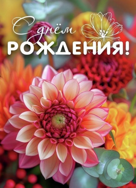 IMG 20241128 033849 625