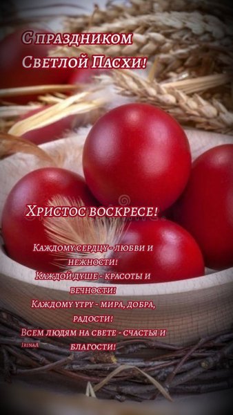 file_93305534