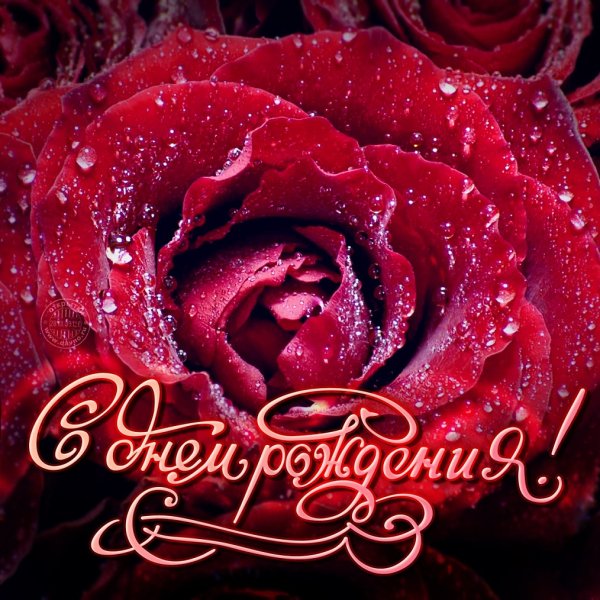 С днём рождения!