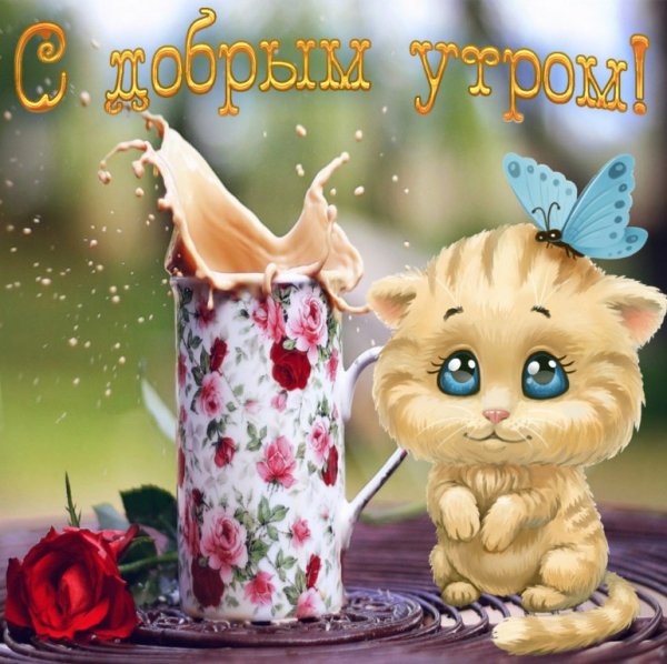 V28kEdL3U4M