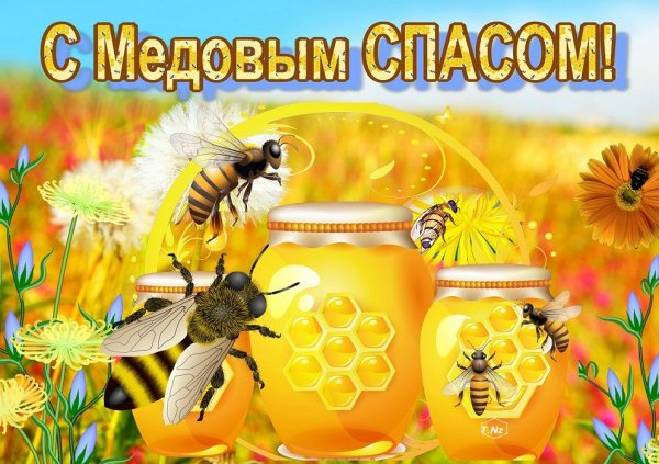 IMG 20150815 011649 82