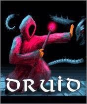 Druid