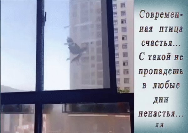 IMG 20221002 163207