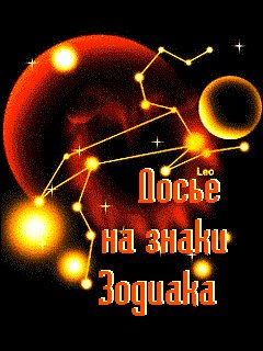 Dose na znaki Zodiaka