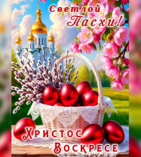 IMG 20260412 205502