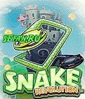 Snake Revolution 240 bq