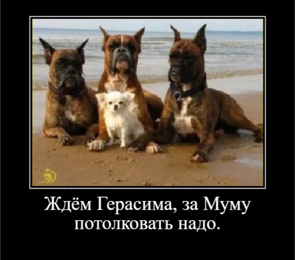 Ждём Герасима, за Муму потолковать надо