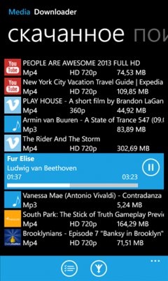 Media Downloader v1.1.4.607