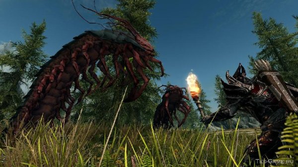 giant centipedes 1.7-94668-1-7-1568175306