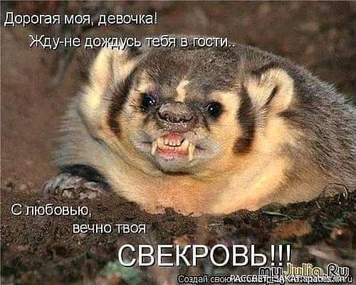 FB IMG 16954656199048251-