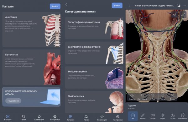 VOKA 3D Анатомия Pro v6.12.1
