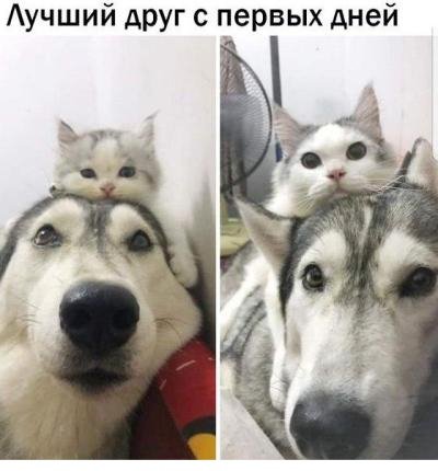 53a3ab7b2f5fccbdc8665f82d9a32438f.jpeg-