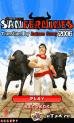 sanfermines 240x400