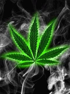 Marihuana