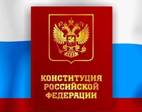 Уголовно-процессуальный Кодекс РФ 1.84 NoAds