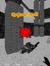 Kings and Queens 3D