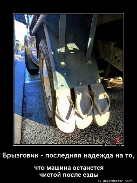 Брызговик