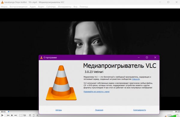 Vlc v3.0.23 win64 x64