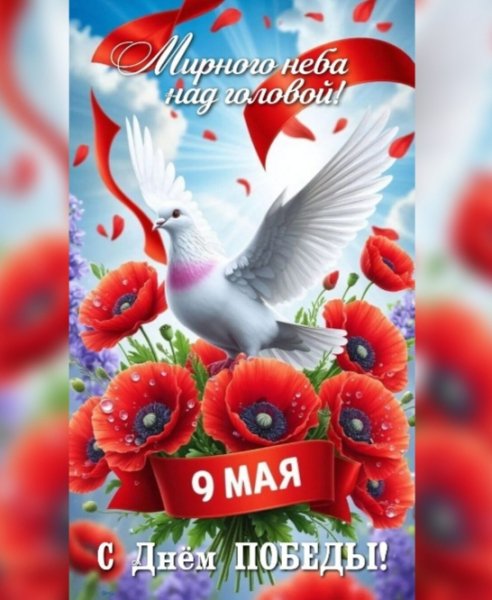 IMG 20260514 214935