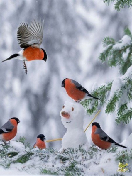 file_75739728
