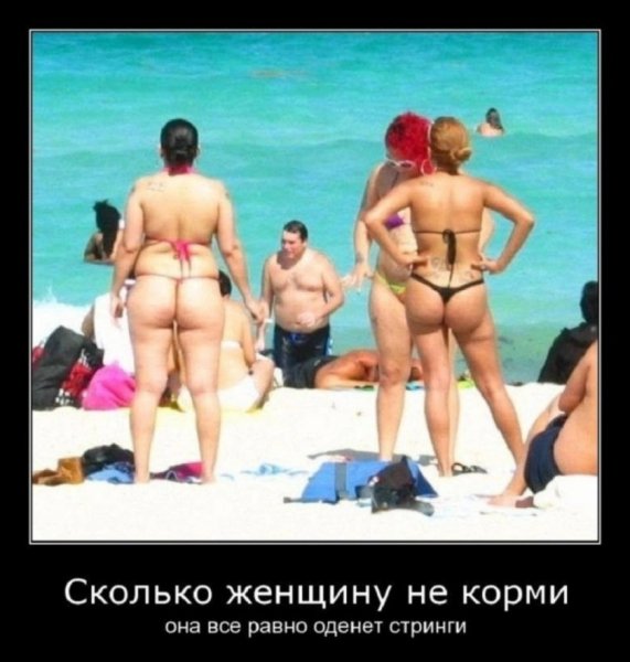 file_103264896