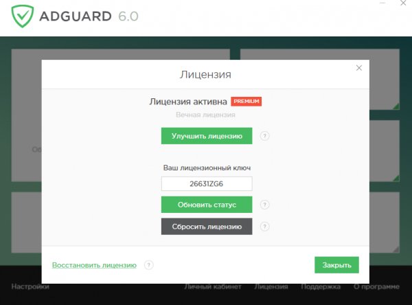 Adguard 6 ВЕЧНАЯ ЛИЦЕЗИЯ
