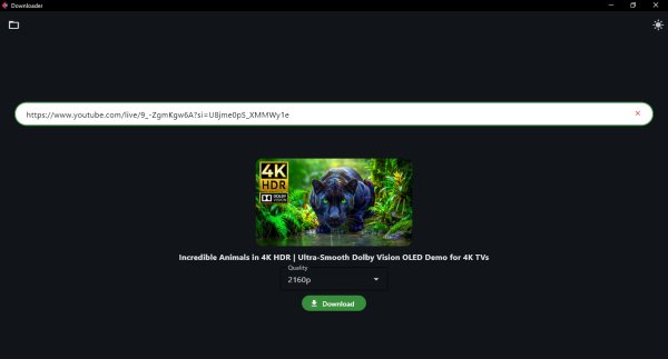 YouTube VideoDownloader