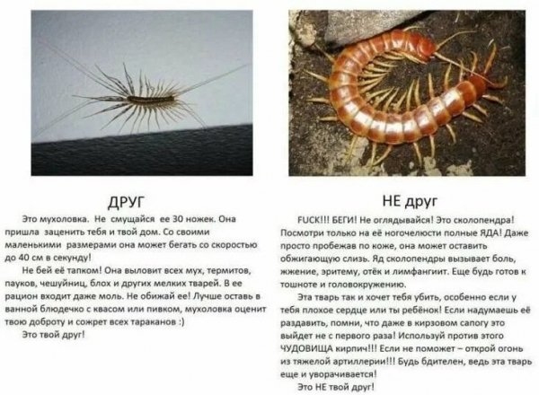 Внимание!