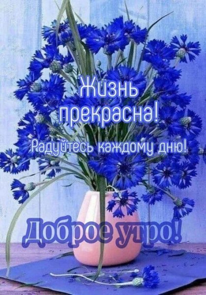 Друзья мои!