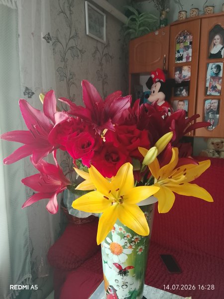 picture_418569395