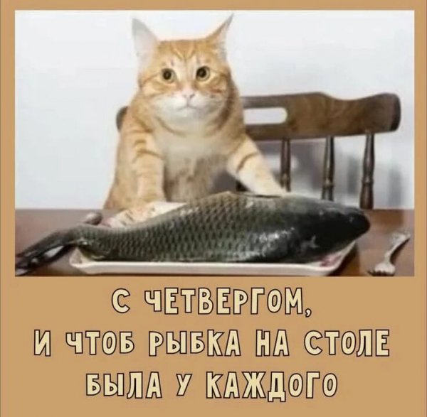 Да! ))