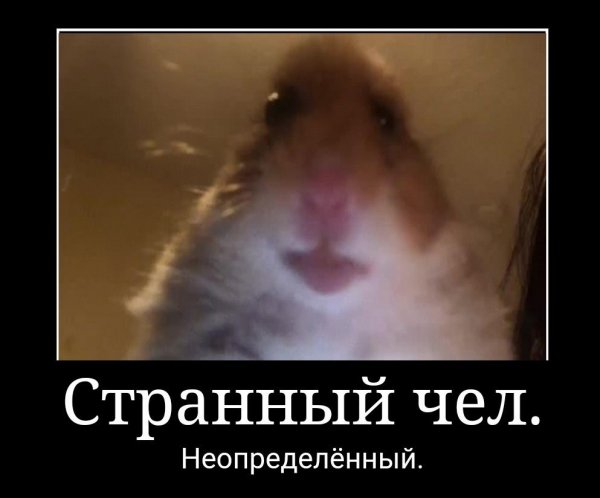 pics