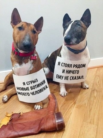 Опаньки!