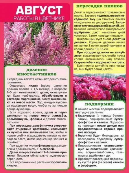 Работы в цветнике