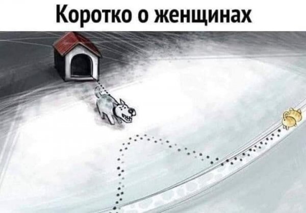 IMG 20260814 132207 493