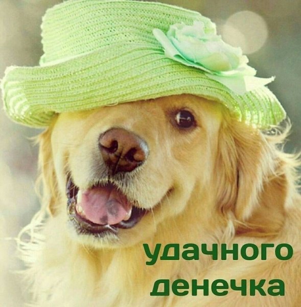 Всем вам!