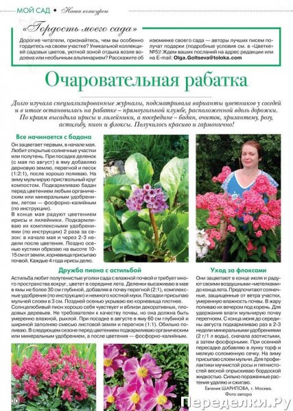 Мой сад