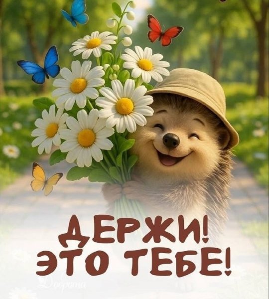 90ae48f1f131cab16595e2297d99c4fe