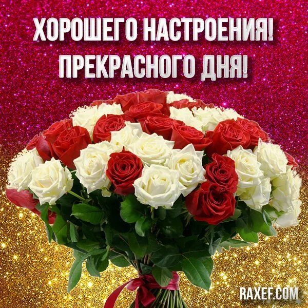 Всем вам!